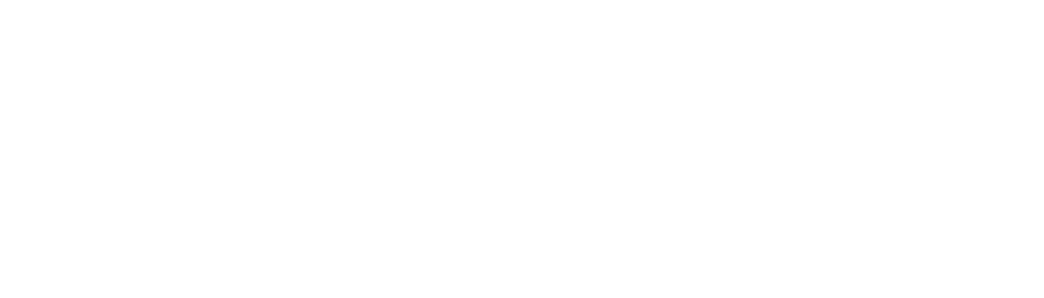 ENDSPEC BRASIL