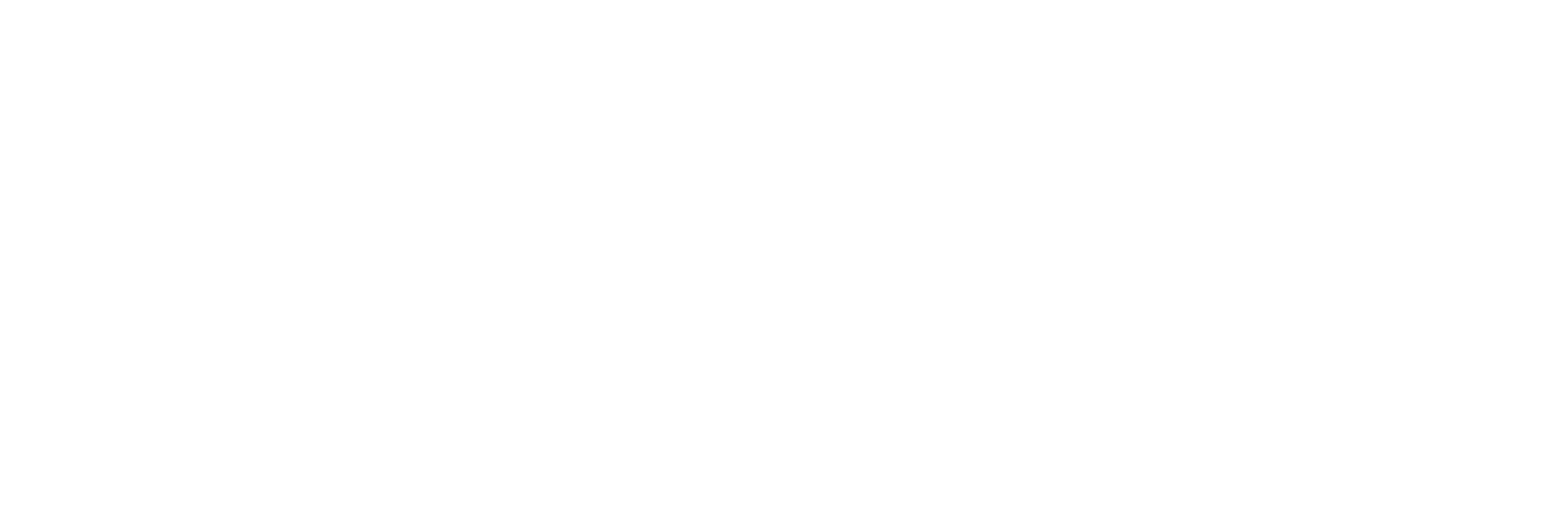 NIOCLEAN