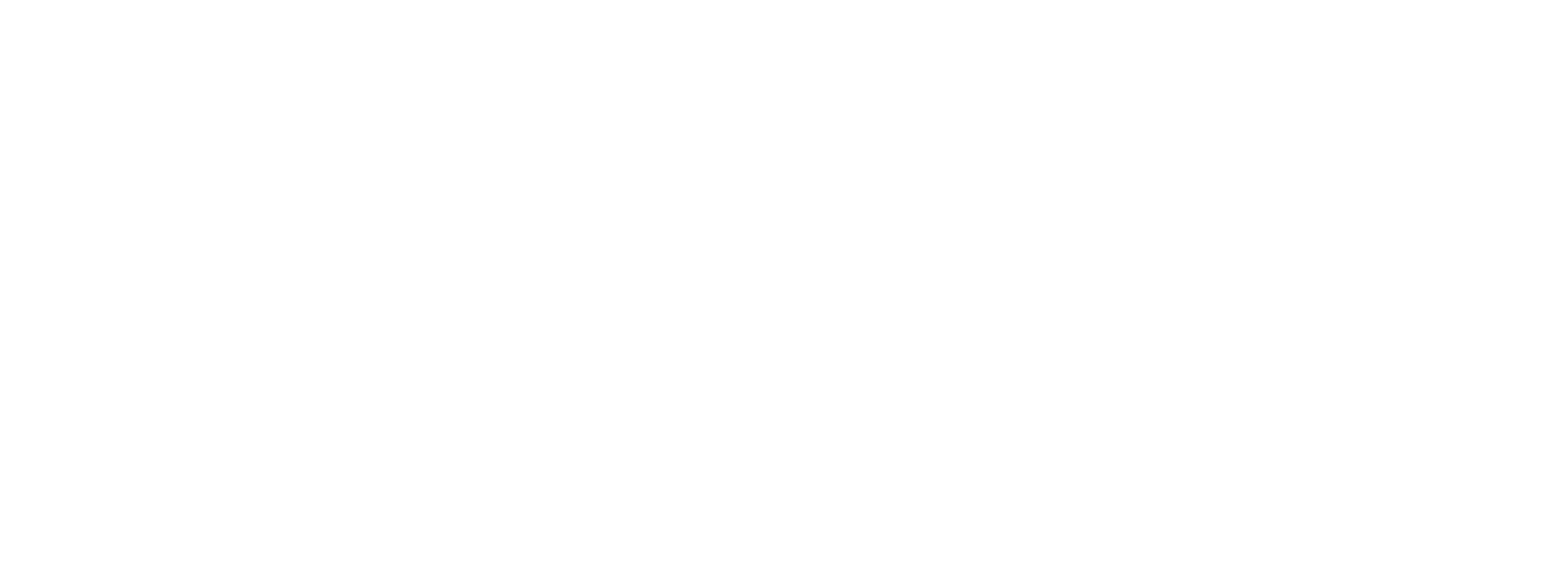 OLIVETTO