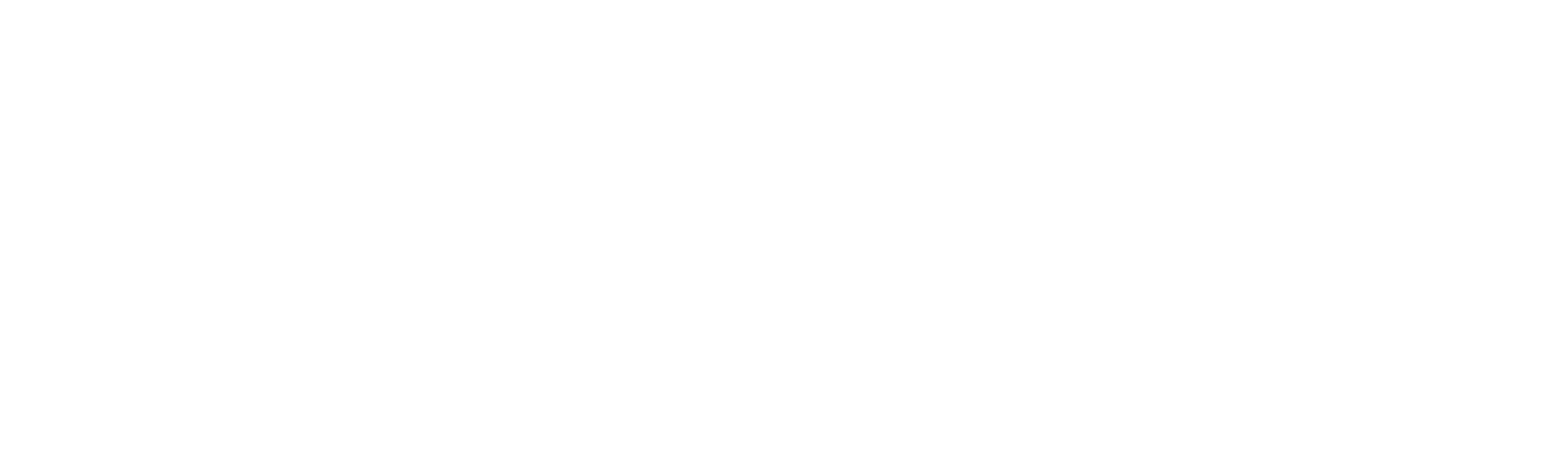 RAFAEL ADV